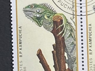 Semipliego Sellos Camboya 1988 - Reptiles Iguana - 0,50 Rials - 10 sellos