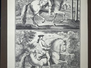 Lámina Facsímil Enciclopedia Diderot - España 2003 - 39 x 26 cm - Manege