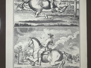 Lámina Facsímil Enciclopedia Diderot - España 2003 - 39 x 26 cm - Manege