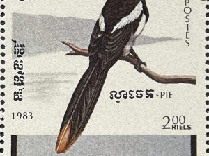 Bloque de 5 sellos de Camboya 1983 - Aves : Pie - 2 Riels