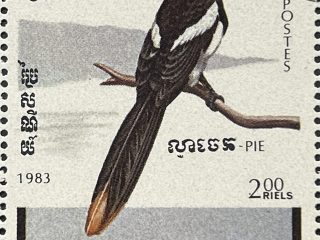 Bloque de 5 sellos de Camboya 1983 - Aves : Pie - 2 Riels