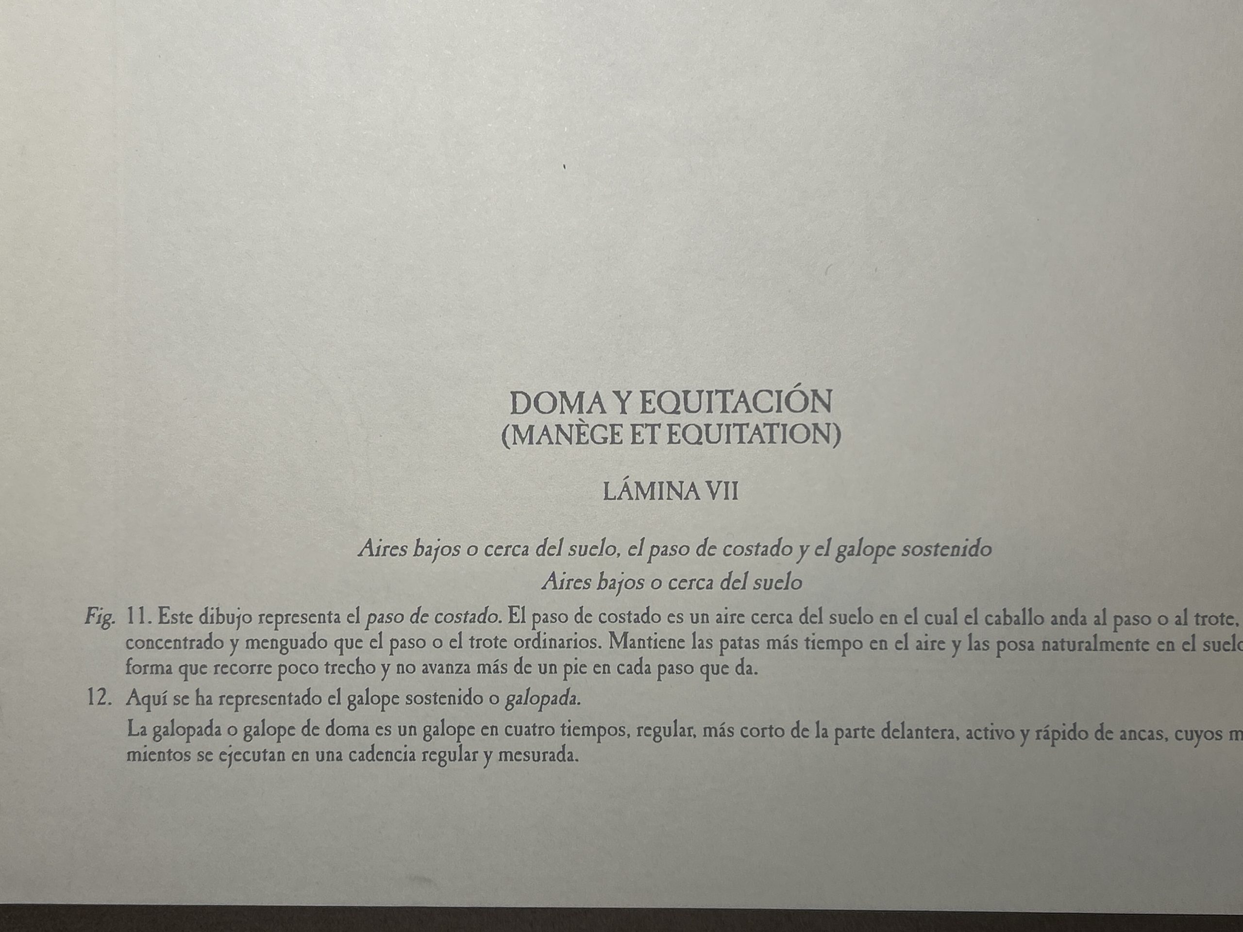 Lámina Facsímil Enciclopedia Diderot - España 2003 - 39 x 26 cm - Manege - Imagen 2