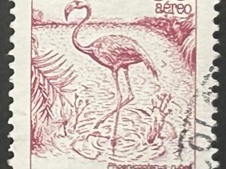 Sello Colombia 1987 - Flamenco - 30 Pesos Aéreo Usado