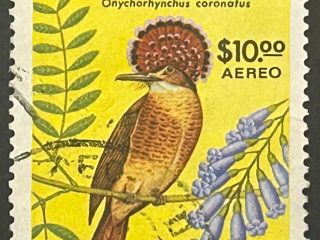 Sello Colombia 1977 - Jacaranda y Ave - 10$ Aéreo Usado