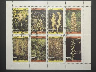 Minipliego Omán - 1973 - Plantas - 8 Valores