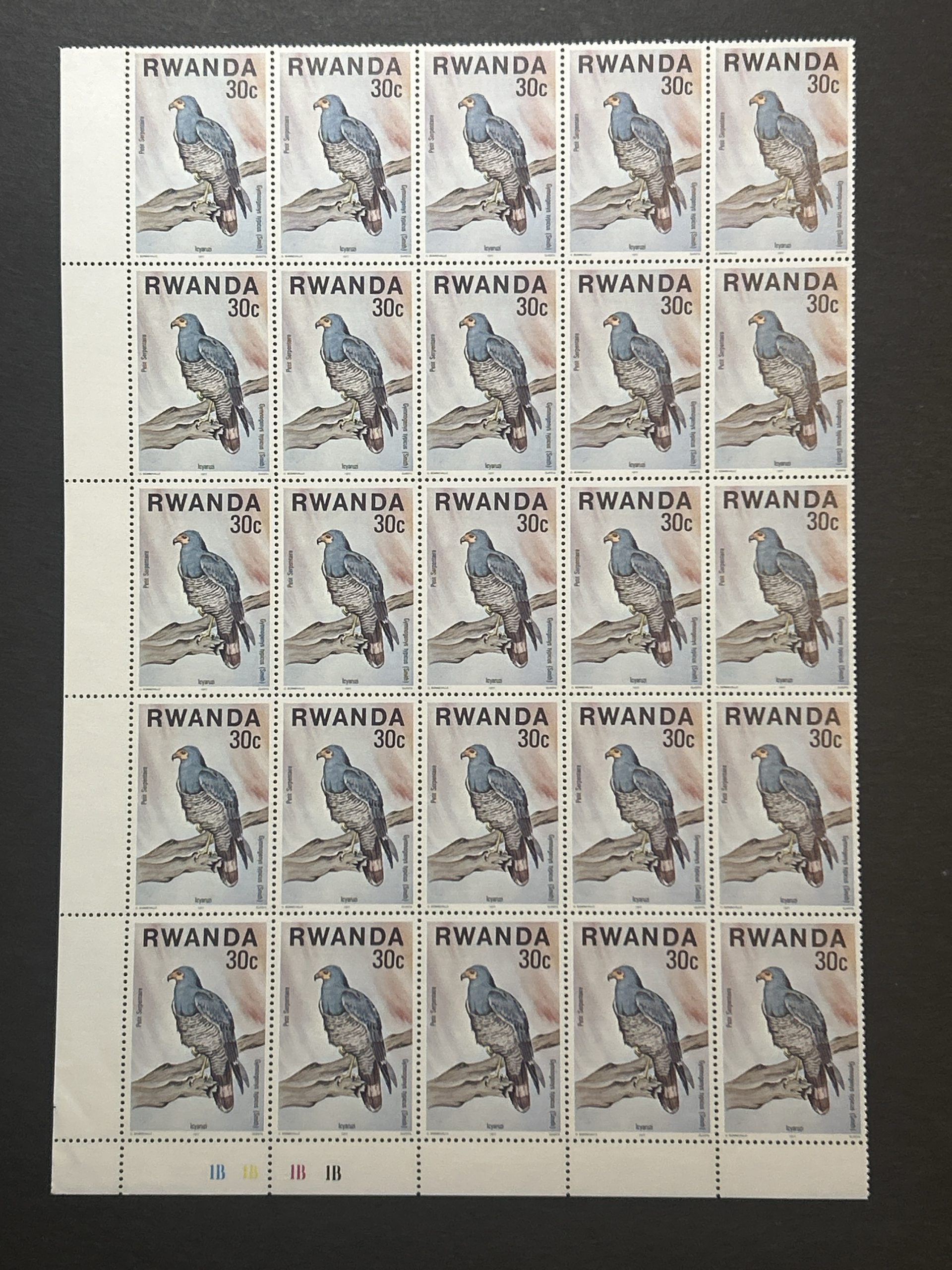 Semipliego Sellos Ruanda 1977 - Aves : Petit Serpentaire - 25 sellos de 30c Nuevos