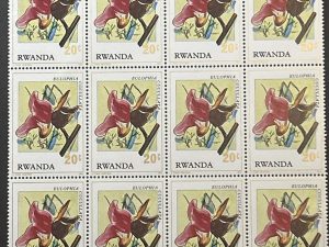 Bloque Sellos Ruanda 1976 - Bulophis - 12 sellos de 20c Nuevos