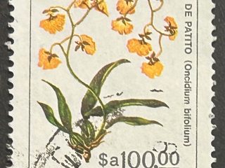 Sello Argentina 1984 - Flores: Flor de Patito- $a 100 Usado