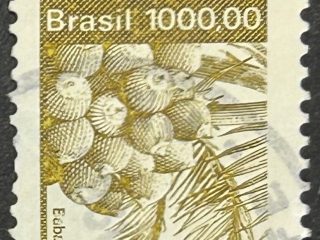 Sello Brasil 1984 - Babacu - 1000 Crz Verde Oliva usado