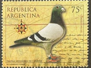 Sello Argentina 1999 - Paloma Mensajera - 75c Usado