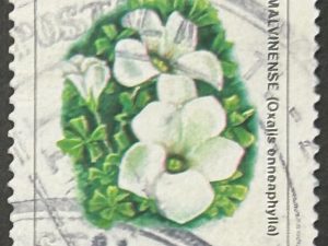 Sello Argentina - Flor Malvinense - 0,005 Australes Usado