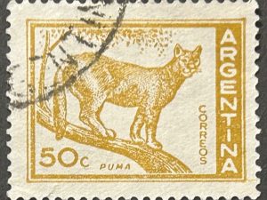 Sello Argentina 1969 - Puma - 50c Usado