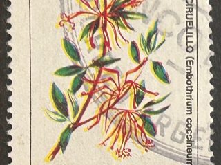 Sello Argentina 1989 - Flores : Notro/Ciruelillo - 500 Australes Usado