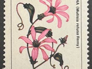 Sello Argentina 1989 - Flores : Virreina - 20 Australes Nuevo