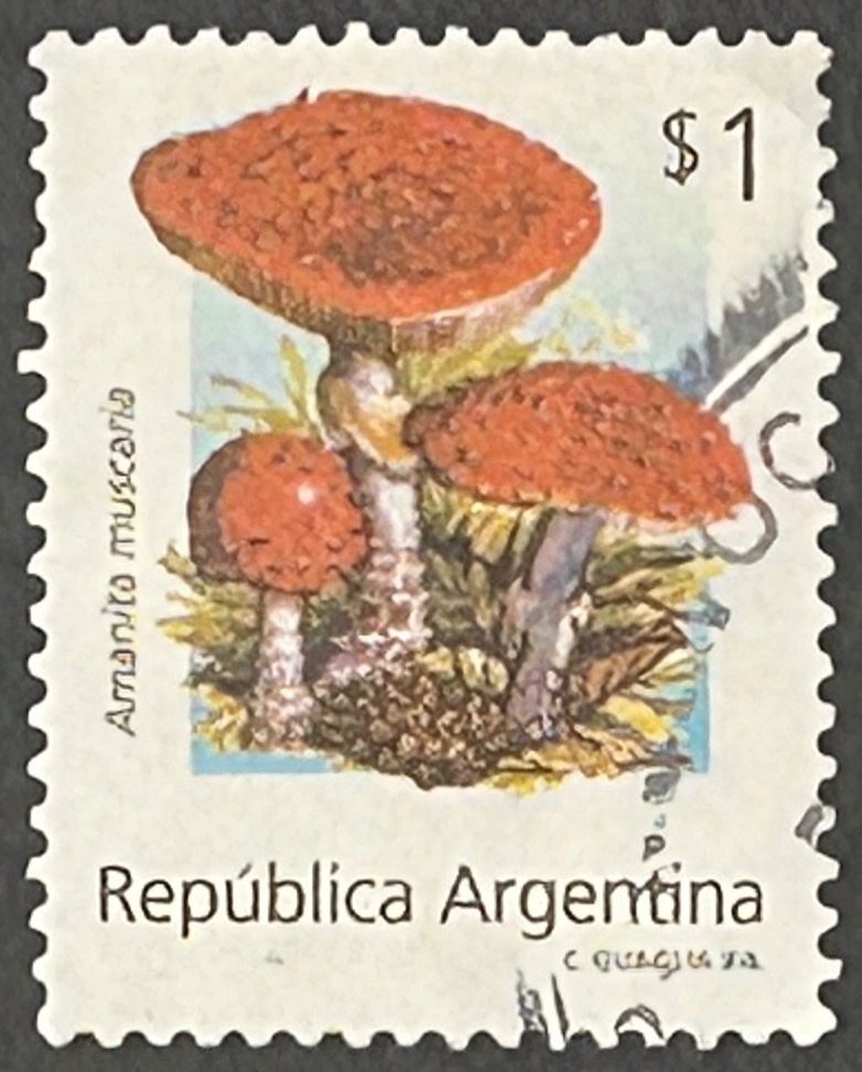 Sello Argentina 1994 - Setas: Amanita Muscaria - 1$ Usado