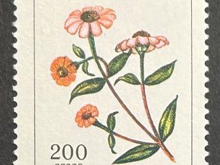 Sello Argentina 1986 - Flores : Chinita del Campo - 200 Pesos Ley - Nuevo