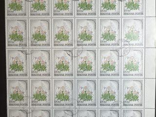 Bloque Sellos Hungría 1973  - Flores : Bellis Perennis - 30 sellos de 1,20Ft Matasellado sin goma