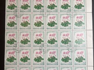 Bloque Sellos Hungría 1973  - Flores : Cyclamen europaeum - 30 sellos de 60f Matasellado sin goma