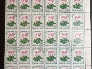 Bloque Sellos Hungría 1973  - Flores : Cyclamen europaeum - 30 sellos de 60f Matasellado sin goma