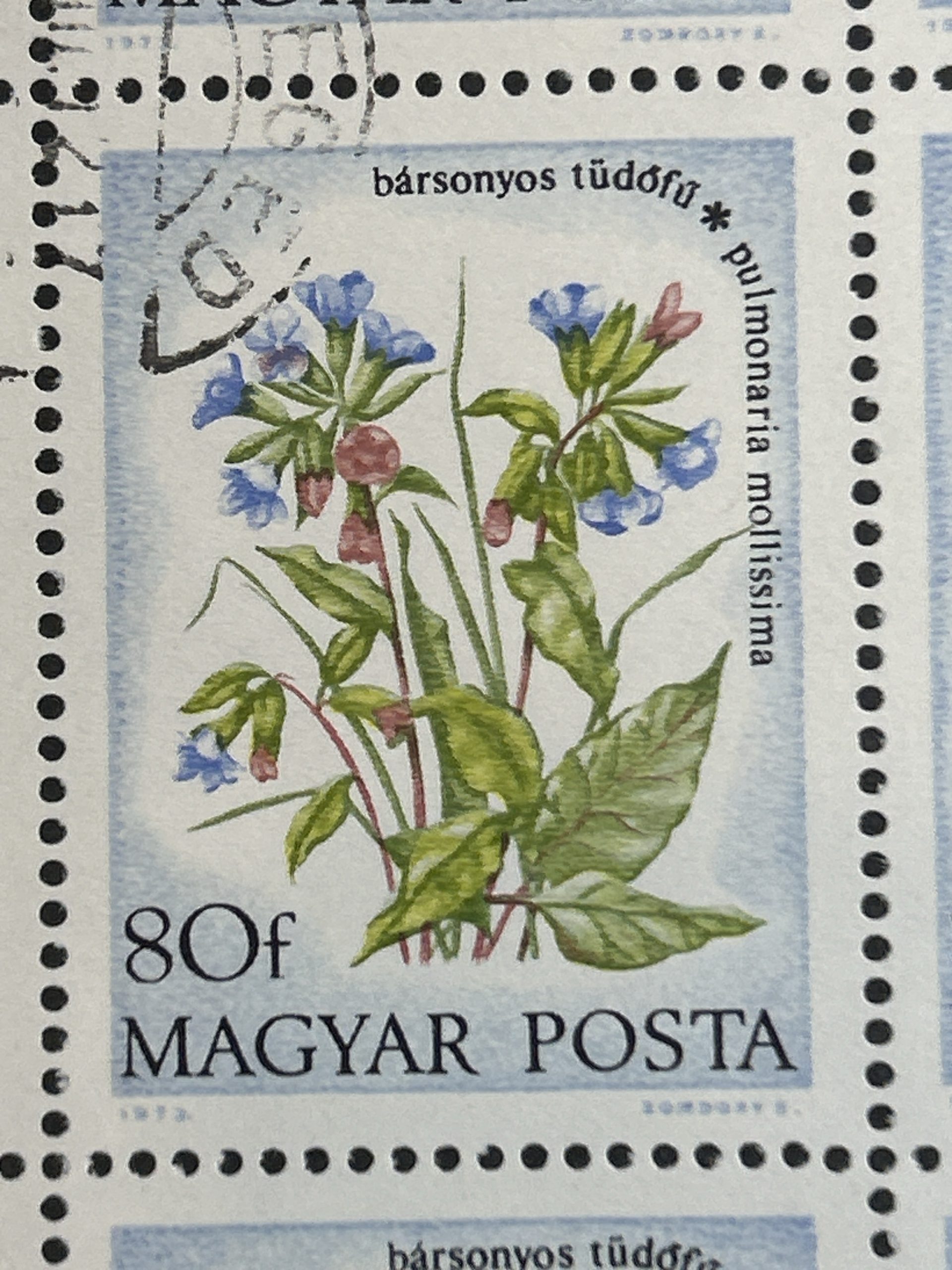 Bloque Sellos Hungría 1973 - Flores : Pulmonaria Mollisima - 30 sellos de 80f Matasellado sin goma - Imagen 2