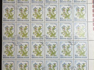 Bloque Sellos Hungría 1973  - Flores : Pulmonaria Mollisima  - 30 sellos de 80f Matasellado sin goma