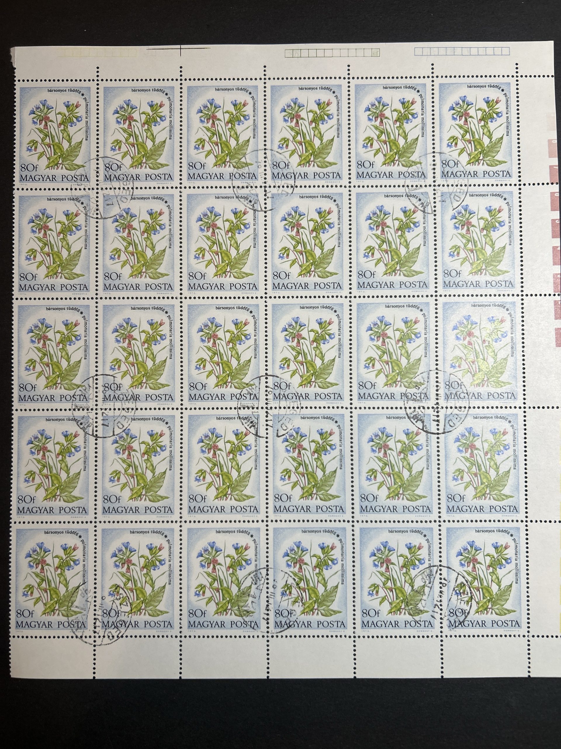 Bloque Sellos Hungría 1973 - Flores : Pulmonaria Mollisima - 30 sellos de 80f Matasellado sin goma