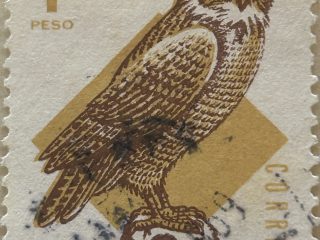 Correo Uruguay 1968 - Búho - 1$ usado , marrón y ocre