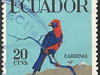 Sello Ecuador 1958 - Cardenal - 20 centavos Usado