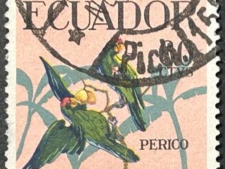 Sello Ecuador 1958 - Perico - 60 centavos Usado