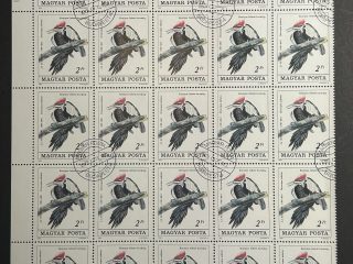 Semipliego Hungria 1985 - Aves: Pájaro Carpintero - 25 Valores - 2 Florines Usado