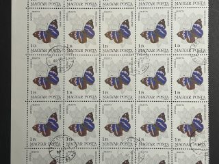 Semipliego Hungria 1984 - Mariposas : Orchidealeptke - 25 Valores - 1 Florin Usado