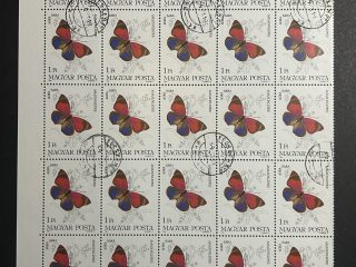Semipliego Hungria 1984 - Mariposas : Amazonleptke - 25 Valores - 1 Florin Usado