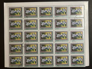 Semi pliego Hungría 1971 - 20 Valores - Flores : Vinca - 1 Florín Usado