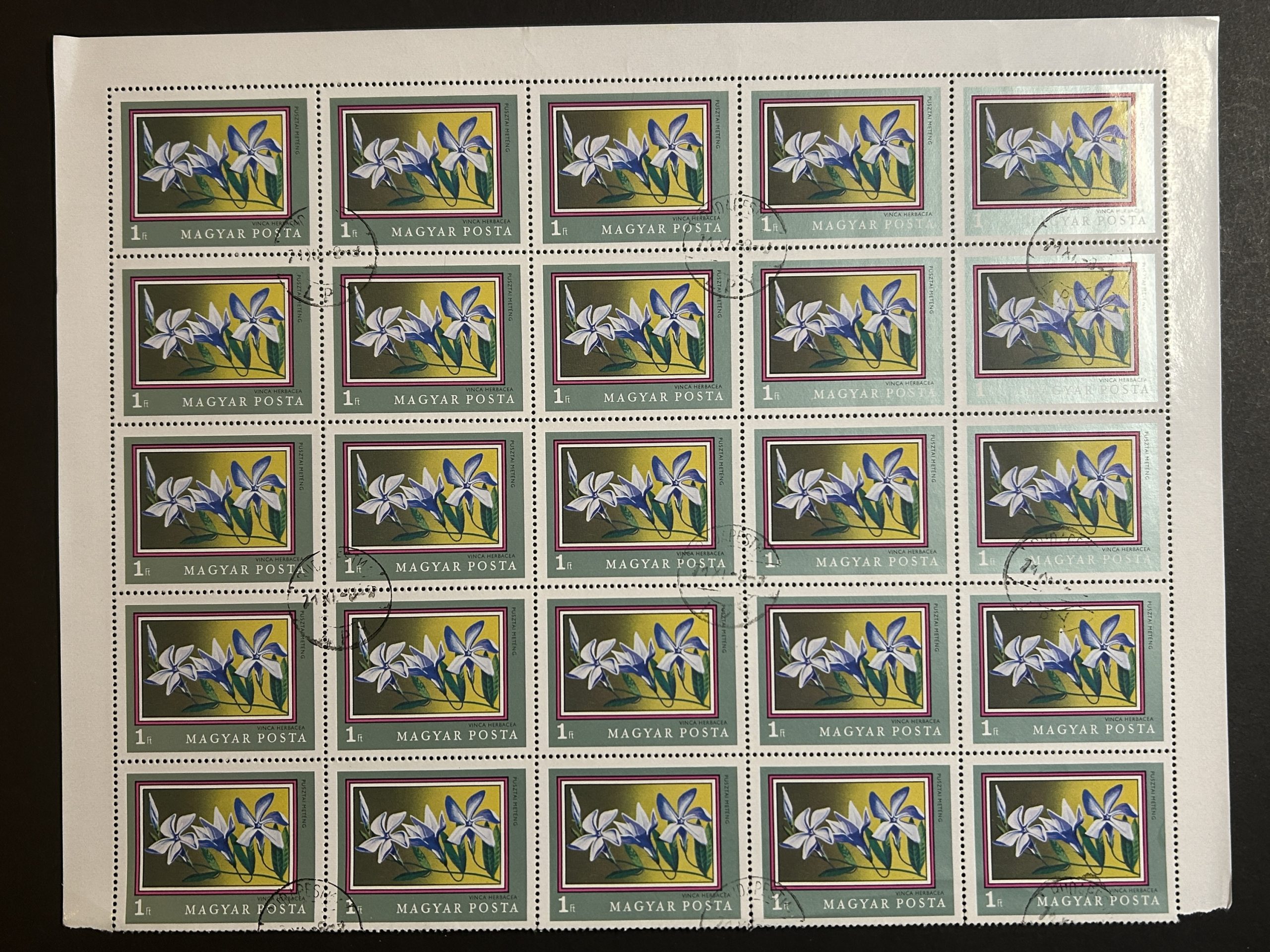 Semi pliego Hungría 1971 - 20 Valores - Flores : Vinca - 1 Florín Usado