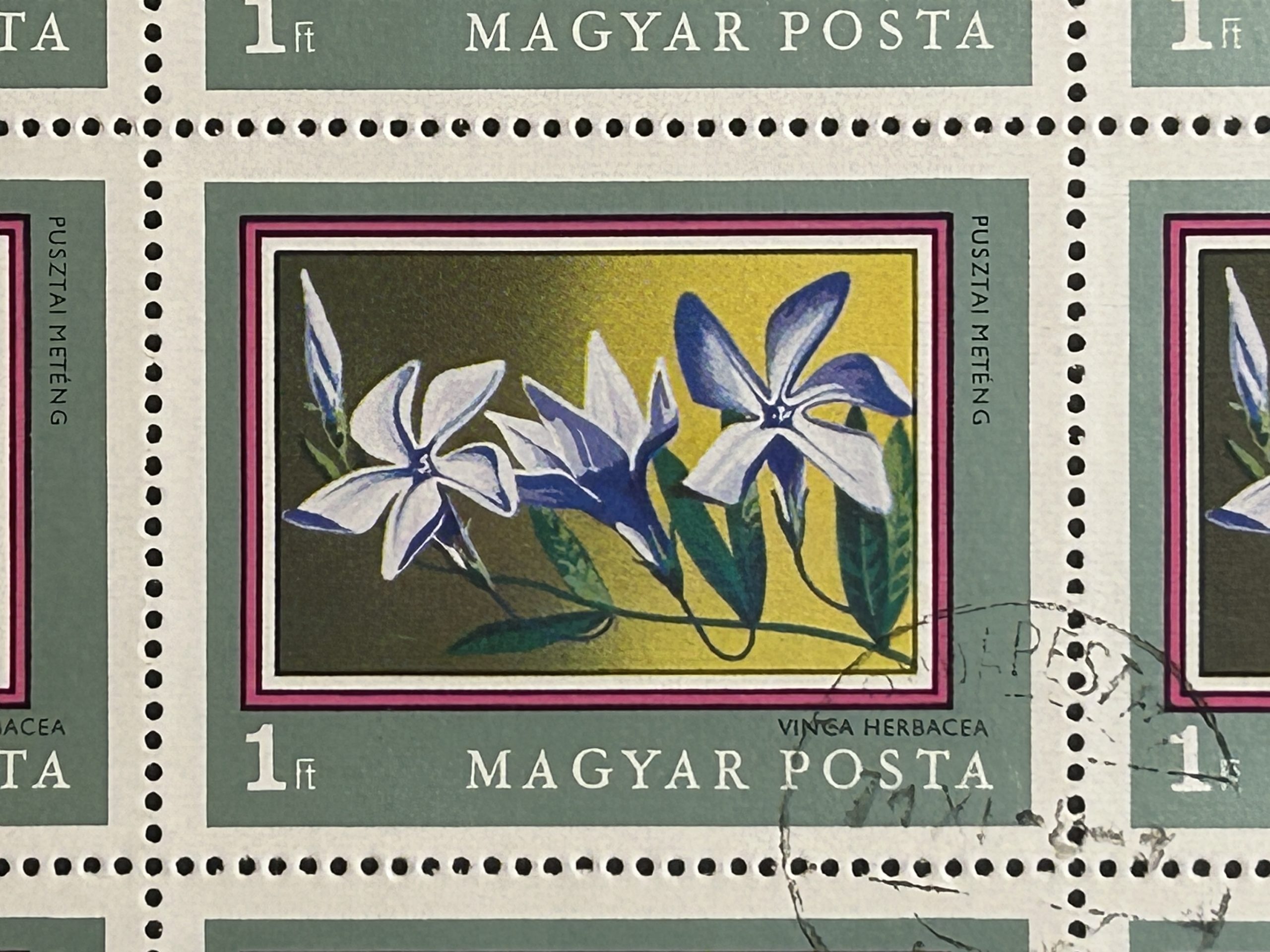 Semi pliego Hungría 1971 - 20 Valores - Flores : Vinca - 1 Florín Usado - Imagen 2