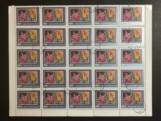 Semi pliego Hungría 1971 - 20 Valores - Flores : Bromelia - 60 Filler Usado