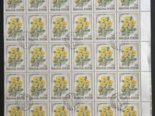 Semi-Pliego sellos de Hungría 1973 - Flores : Adonis Vernalis - 30 Valores x 2 Florines