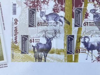 Sobre Primer Día FDC Países Bajos 2004 - Fauna Bosques de De Veluwe Priority NVPH 502