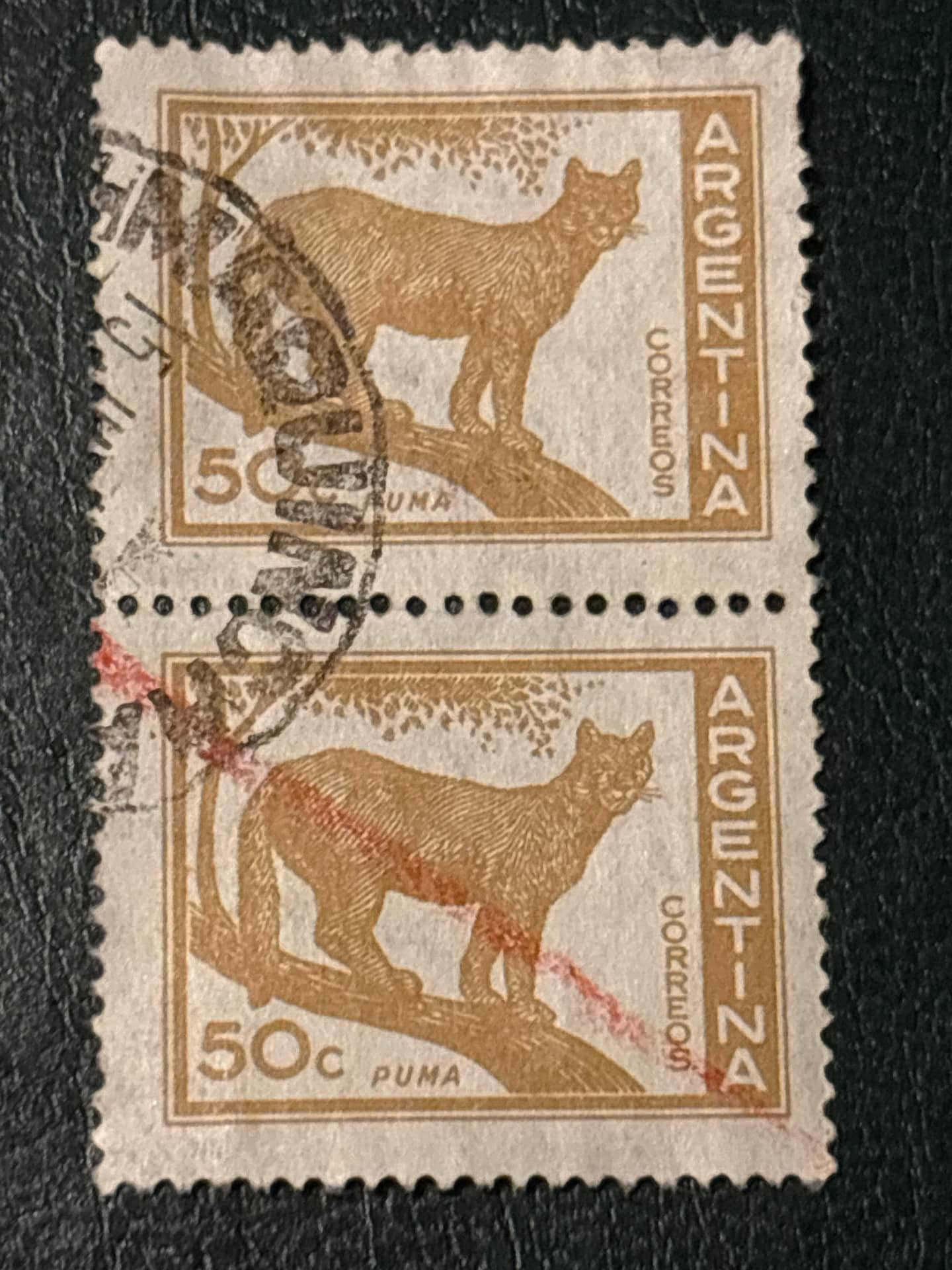 Par de Sellos Argentina 1969 - Puma - 50c Usado