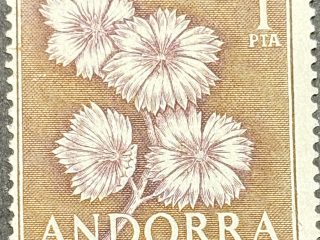 Sello de Andorra 1966 - Dianthus caryophyllus - una peseta - nuevo Marrón