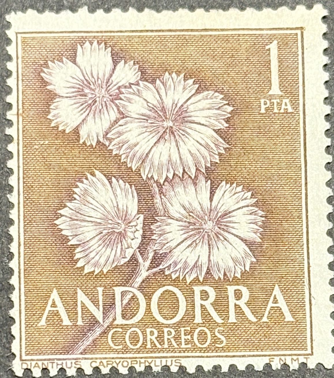 Sello de Andorra 1966 - Dianthus caryophyllus - una peseta - nuevo Marrón